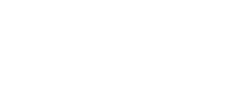 dragon cchino